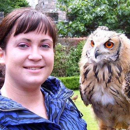 White Park B&B Ballybofey Zewnętrze zdjęcie